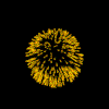 image-596926-Beef_OBradys_Logo.gif